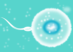 舟山群岛权威隐私DNA亲子鉴定中心在哪儿