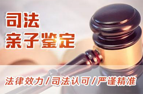 舟山群岛新区司法DNA鉴定怎么做,舟山群岛新区司法DNA亲子鉴定费用是多少钱